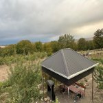 Satılır Torpaq Şamaxı 2