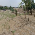 Satılır Torpaq Sumqayıt 1