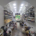 Kirayə (aylıq) Obyekt, 28 May metrosu, Səməd Vurğun parkı, Nəsimi rayonu 3