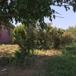 Satılır 4 otaqlı Həyət evi/villa Biləsuvar 5