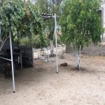 Satılır 2 otaqlı Bağ evi, Novxanı, Abşeron rayonu 8