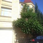 Kirayə (aylıq) 8 otaqlı Həyət evi/villa, Gənclik metrosu, Nərimanov rayonu 2