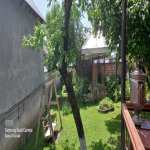 Kirayə (günlük) 2 otaqlı Həyət evi/villa Qəbələ 5