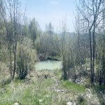 Satılır Torpaq Şamaxı 5