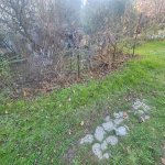 Продажа Участок, м. Эльмляр Академиясы метро, Сябаиль район 1