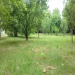 Kirayə (günlük) 3 otaqlı Bağ evi İsmayıllı 12