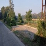 Kirayə (günlük) 4 otaqlı Həyət evi/villa Xaçmaz / Nabran 6