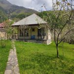Kirayə (günlük) 4 otaqlı Bağ evi Qəbələ 12