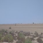 Satılır Torpaq, Ələt qəs., Sahil bağı, Qaradağ rayonu 6