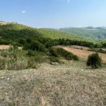 Satılır Torpaq İsmayıllı 8