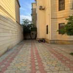 Продажа 7 комнат Дача, м. Насими метро, 6-ой микрорайон, Бинагадинский р-н район 4