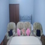 Kirayə (aylıq) 1 otaqlı Həyət evi/villa, Qaraçuxur qəs., Suraxanı rayonu 3