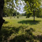 Продажа Участок Гябяля 11