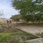 Продажа Участок, Сабунчу район 27