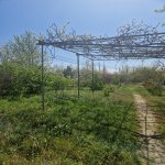 Продажа 3 комнатная Дача, Новханы, Абшерон район 13