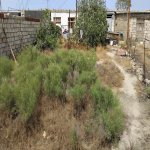 Продажа 2 комнатная Дача, Хаджи Зейналабдин район 4
