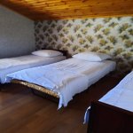 Kirayə (günlük) 3 otaqlı Həyət evi/villa Qax 8