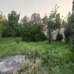 Satılır Torpaq Quba 2