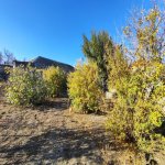 Продажа Участок, Хетаи район 2