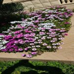 Satılır 5 otaqlı Həyət evi/villa, Mərdəkan, Xəzər rayonu 35