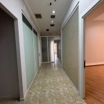 Kirayə (aylıq) 5 otaqlı Ofis, Nəsimi rayonu 12
