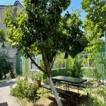 Satılır 7 otaqlı Həyət evi/villa, Nəsimi metrosu, Binəqədi rayonu 4