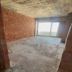 Продажа 3 комнатная Новостройка, м. 20 Января метро, пос. Биляджари, Бинагадинский р-н район 1