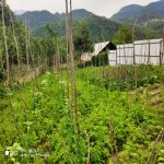 Satılır 6 otaqlı Həyət evi/villa İsmayıllı 6