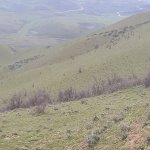 Satılır Torpaq Şabran 4
