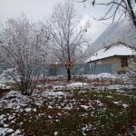 Satılır Torpaq Qəbələ 1