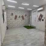 Kirayə (aylıq) Obyekt, Elmlər akademiyası metrosu, Beşmərtəbə, Yasamal rayonu 5