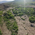 Satılır Torpaq, Novxanı, Abşeron rayonu 5