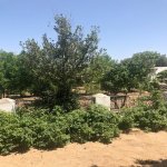 Satılır 4 otaqlı Bağ evi, Bilgəh qəs., Sabunçu rayonu 2