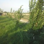 Satılır Torpaq Quba 18