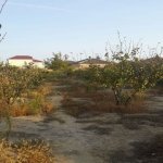 Satılır 8 otaqlı Bağ evi, Novxanı, Abşeron rayonu 18