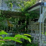 Kirayə (günlük) 3 otaqlı Həyət evi/villa Qax 16