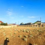 Satılır Torpaq, Saray, Abşeron rayonu 15