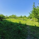 Kirayə (günlük) 4 otaqlı Həyət evi/villa Quba 11