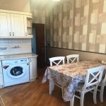 Kirayə (aylıq) 3 otaqlı Yeni Tikili, 28 May metrosu, Nəsimi rayonu 15
