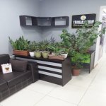 Kirayə (aylıq) 4 otaqlı Ofis, Xətai metrosu, Xətai rayonu 3