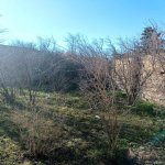 Satılır Torpaq, Novxanı, Abşeron rayonu 4