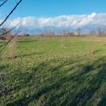 Satılır Torpaq Oğuz 3