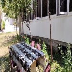 Kirayə (günlük) 9 otaqlı Həyət evi/villa Şəki 1