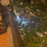 Kirayə (aylıq) 3 otaqlı Köhnə Tikili, Sahil metrosu, Nəsimi rayonu 12