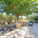 Satılır 7 otaqlı Bağ evi, Mərdəkan, Xəzər rayonu 3