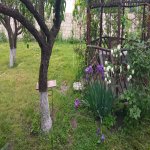 Kirayə (günlük) 3 otaqlı Həyət evi/villa Qusar 2