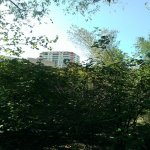 Satılır 4 otaqlı Həyət evi/villa, Həzi Aslanov metrosu, H.Aslanov qəs., Xətai rayonu 6