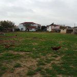 Satılır 7 otaqlı Həyət evi/villa, Bilgəh qəs., Sabunçu rayonu 10