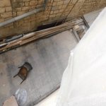 Satılır 3 otaqlı Köhnə Tikili, İçərişəhər metrosu, Səbail rayonu 19