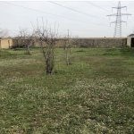 Satılır Torpaq, Saray, Abşeron rayonu 3